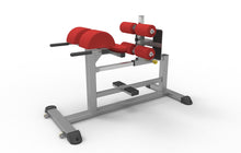 Load image into Gallery viewer, RAZE Shadow Series Glute Ham Raise