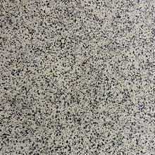 Load image into Gallery viewer, Fitness Xtreme 10mm Premium Gym Flooring